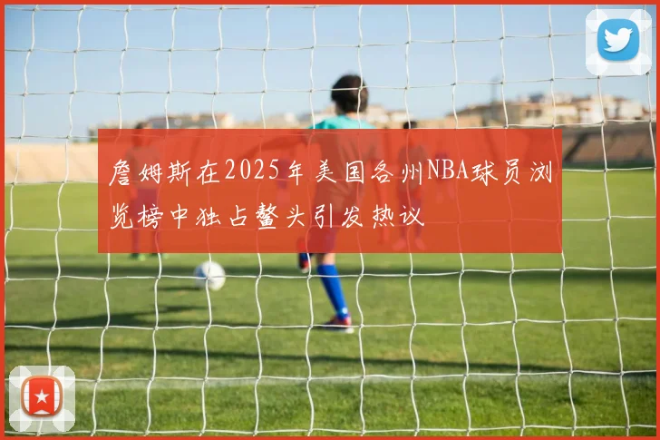 詹姆斯在2025年美国各州NBA球员浏览榜中独占鳌头引发热议