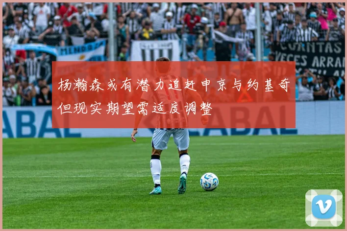 杨瀚森或有潜力追赶申京与约基奇但现实期望需适度调整