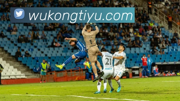 悟空体育平台生态图