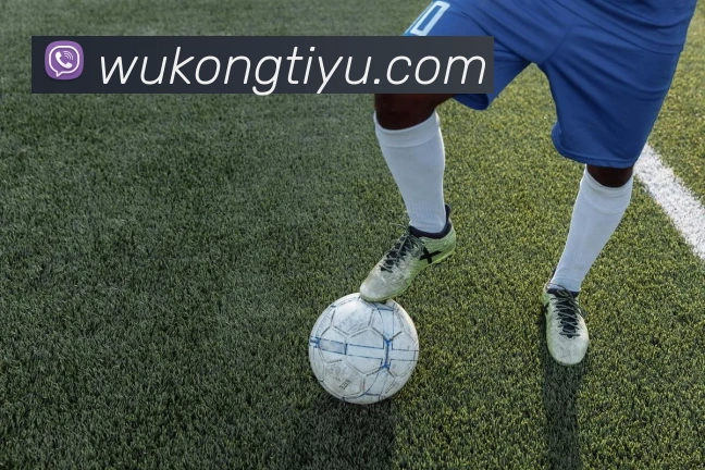 悟空体育APP 封面图